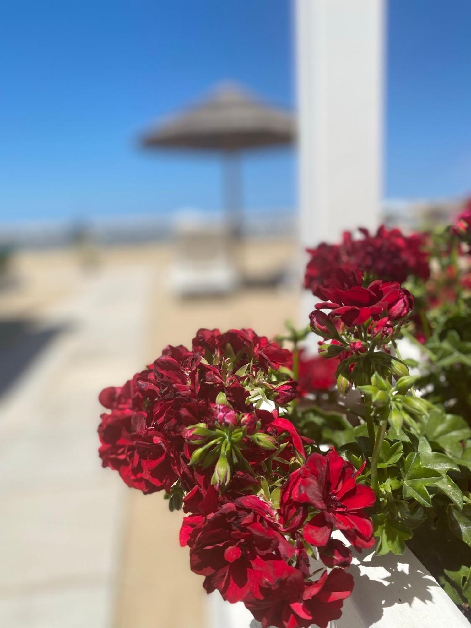 Marina Bay Beach Hotel Пешичи Екстериор снимка